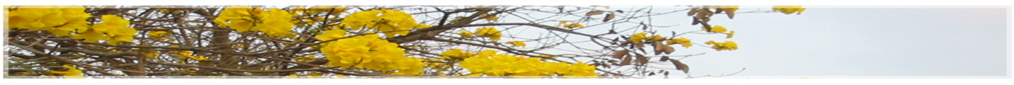 layout banner